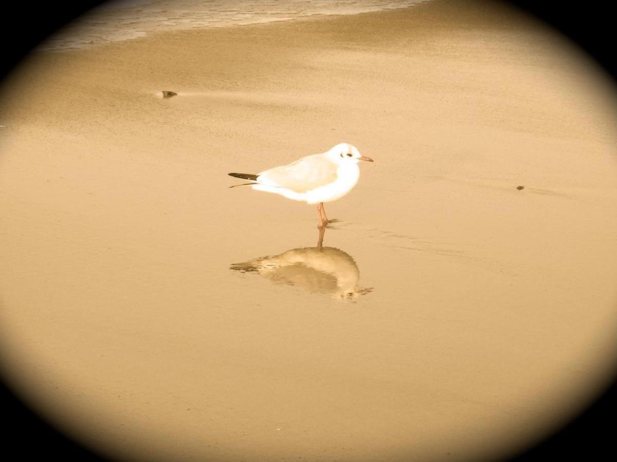 Haus Milena/jule Apartment *