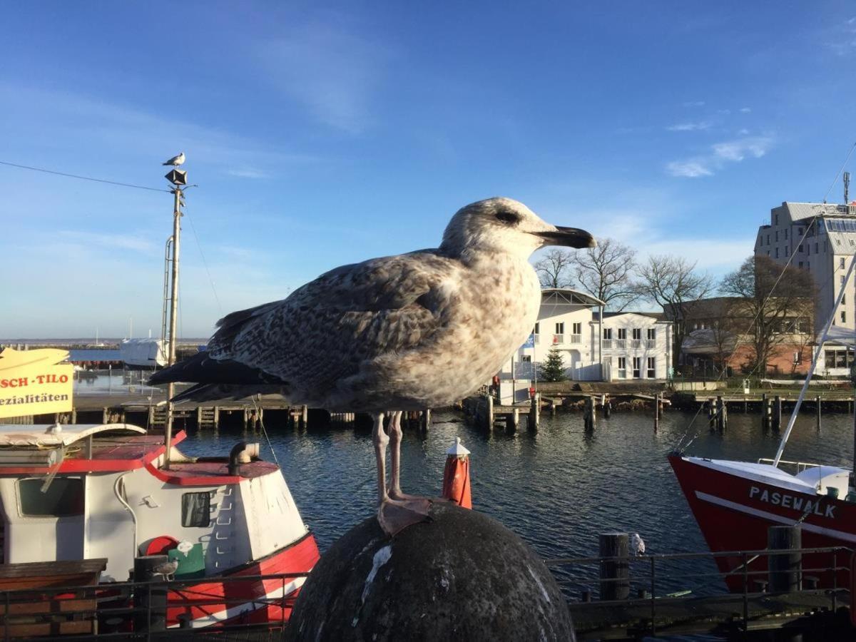 Haus Milena/jule * Rostock